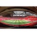 David Busby Photo 14