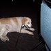 Kimberly Malone Photo 14