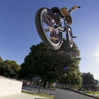 Darrell Noll Photo 1