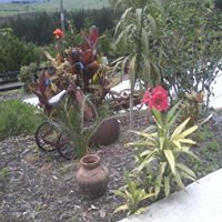Vicki Yates Photo 8