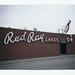 Ray Lane Photo 14