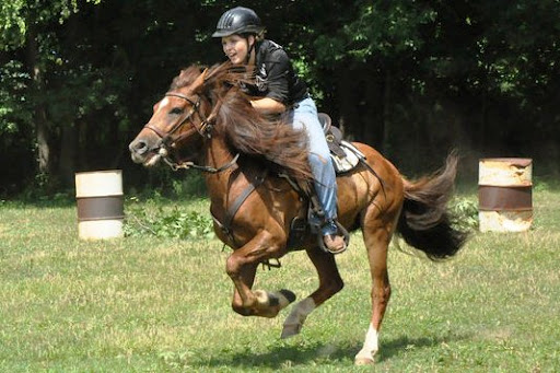 Jennifer Maddox Photo 15