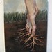 Kathryn Root Photo 21