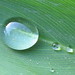 Doreen Lee Photo 34