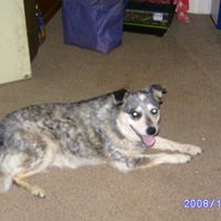 Helen Schrader Photo 9