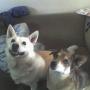 Beth Waite Photo 14