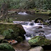 Helen Brooks Photo 12