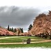 Kathy Panos Photo 1