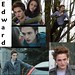 Edward Steward Photo 12