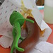 Wanda Brown Photo 16