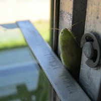 Aaron Delong Photo 24