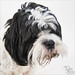 Sherry Watson Photo 15