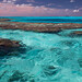 Coral Anderson Photo 11