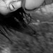Susan Niece Photo 9