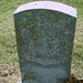 Thomas Nicholson Photo 21