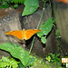 Alan Huebner Photo 10