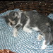 Elizabeth Gabriel Photo 12