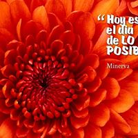 Minerva Santana Photo 14
