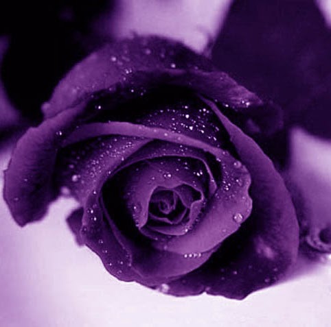 Rose Townsend Photo 30