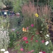 Heather Liddell Photo 24