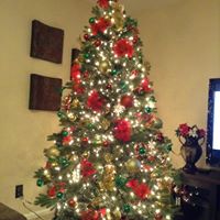 Tina Dalessandro Photo 7