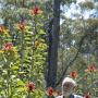 Peter Finlayson Photo 12