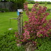 Denise Wolfe Photo 33