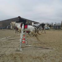 Jennifer Ferro Photo 14