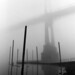 John Bridges Photo 42