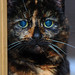Tia Morris Photo 15