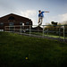 Drew Dempsey Photo 19