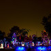 Jill Abernathy Photo 17