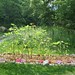 Myra Bloom Photo 9