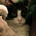 Lucy Garland Photo 17