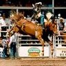 Bryan Hedrick Photo 10