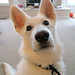 Jack Shepherd Photo 33