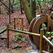 David Pickens Photo 29
