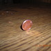 Penny Jacobs Photo 22