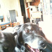 Marty Jackson Photo 10