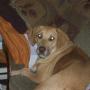 Connie Hull Photo 10