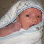 Sarah Hutchison Photo 31