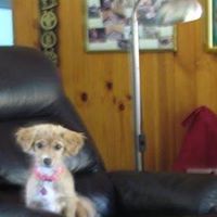 Robyn Broughton Photo 11
