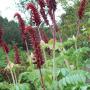 Christine Womack Photo 20