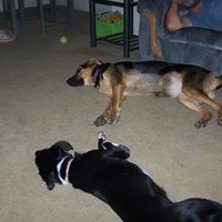 Kathy Estep Photo 17