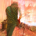 Patti Stuart Photo 16