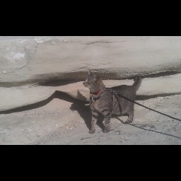 Lacey Robins Photo 8