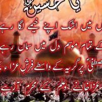 Syed Abbas Photo 19