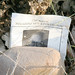 Debbie Bennett Photo 37