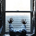 Steven Hand Photo 27