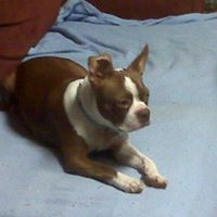 Debbie Easterling Photo 9